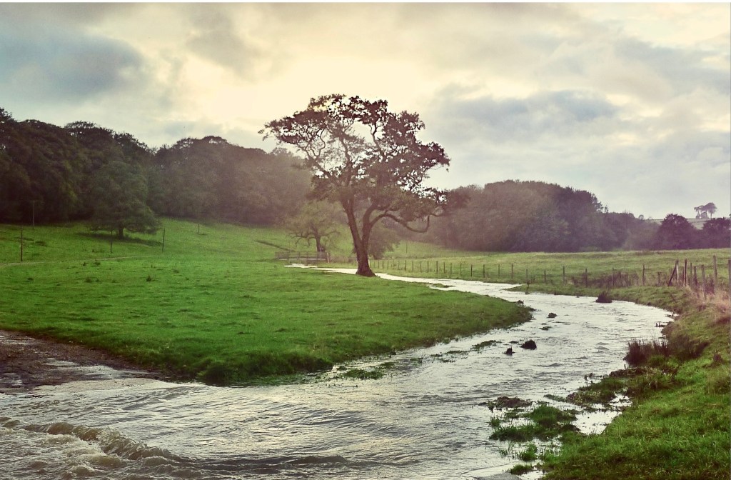 Save Lincolnshire Wolds A.O.N.B from Oil&nbsp;Drilling!